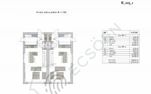 dvīņu mājas projekts